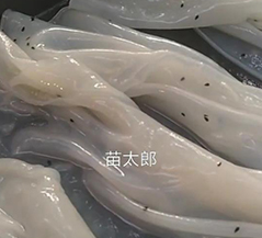 苗老太小吃培训客学员案例
