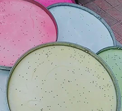 苗老太小吃培训客学员案例