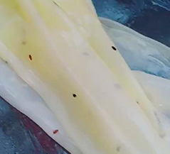 苗老太小吃培训客学员案例