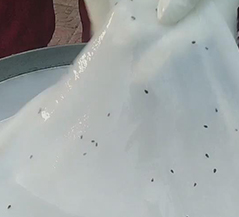 苗老太小吃培训客学员案例